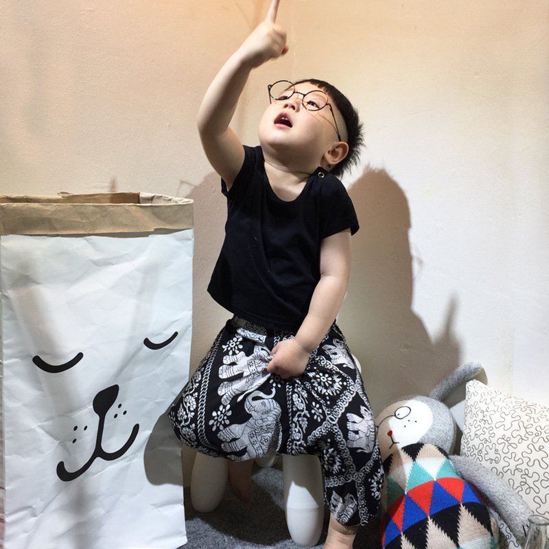 2016年ins夏季新款外貿哈倫小飛鼠中小男女童幼兒褲套裝工廠,批發,進口,代購