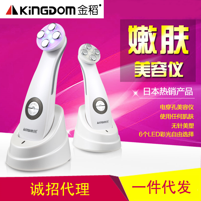 電穿孔導入機 金稻kd-9900彩光EMS傢用射頻美容機器批發工廠,批發,進口,代購