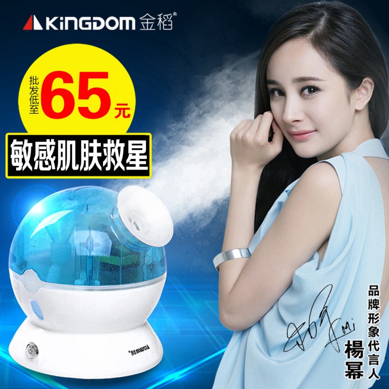 金稻蒸臉器傢用美容機器冷噴蒸麵器加濕保濕潔麵機噴霧補水機器工廠,批發,進口,代購
