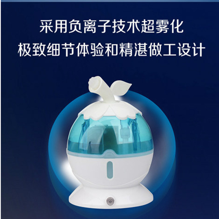 新款巧夫人魔力冷噴補水機加濕器冷霧仙子冷噴蒸臉器補水神器工廠,批發,進口,代購