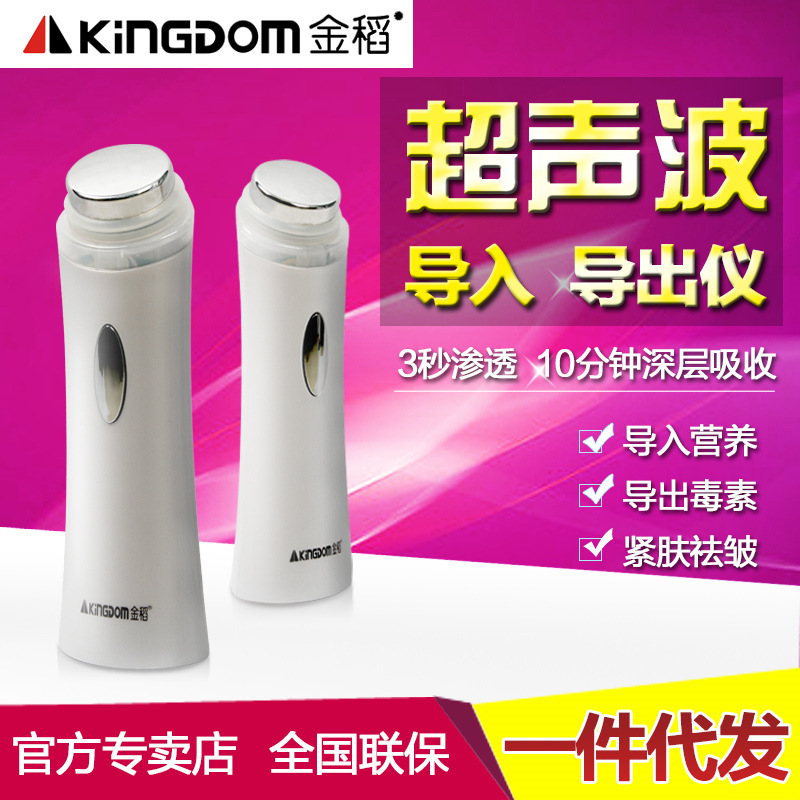 金稻KD611超音波導入導出美容機器采光肌膚保養廠傢直銷一件代發工廠,批發,進口,代購