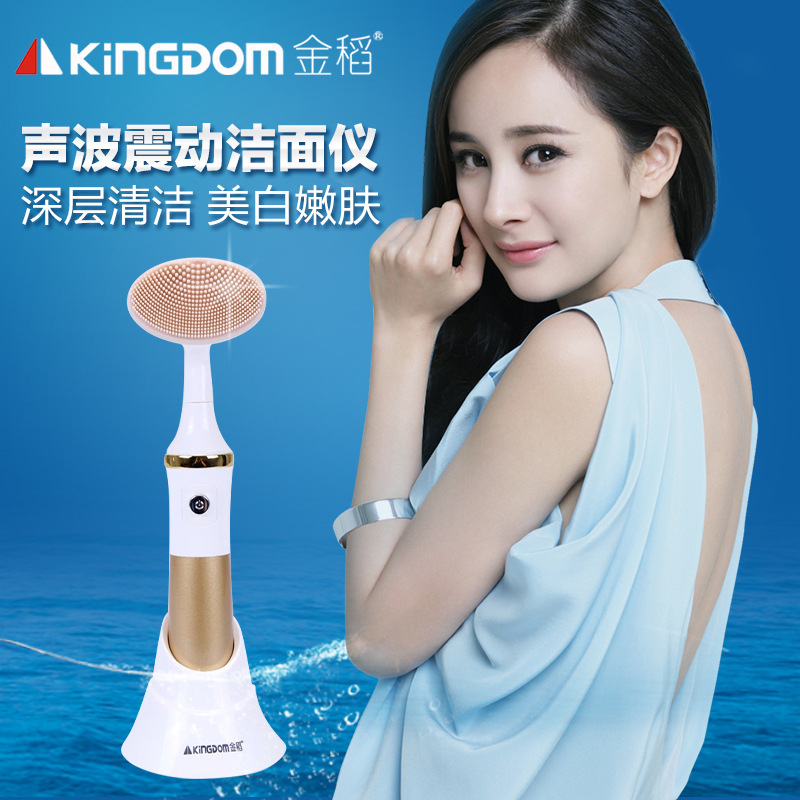 金稻洗臉刷電動潔麵刷超音波潔麵機毛孔清潔器美容洗臉機洗臉機工廠,批發,進口,代購