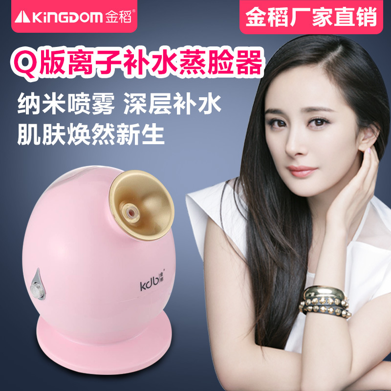 金稻233蒸臉器 美容機 蒸臉器 臉部加濕器 義烏總代理工廠,批發,進口,代購