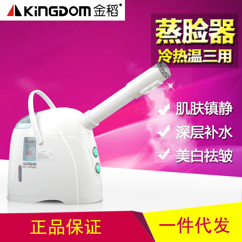 蒸臉器金稻冷熱噴美容便攜納米噴霧補水機器KD-169A美容機批發工廠,批發,進口,代購
