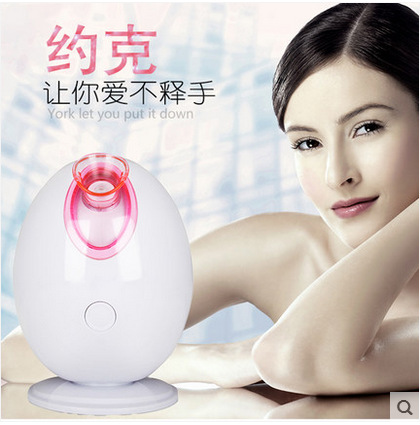 2015  新款升級版 雞蛋離子蒸臉器/噴霧機  美容機傢用蒸臉機工廠,批發,進口,代購