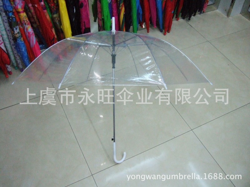 廠傢直銷時尚創意雨傘 POE透明傘 日本暢銷 學生用傘 禮品廣告傘批發・進口・工廠・代買・代購