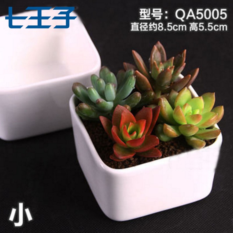 簡約白色創意迷你多肉陶瓷桌麵方形zakka盆栽花盆 qa5005廠傢批發工廠,批發,進口,代購