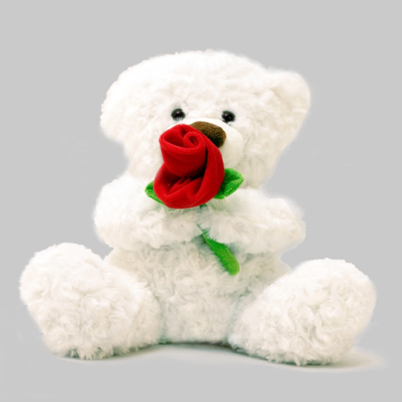 青島毛絨玩具定製批發類泰迪扭花絨七夕節禮品白色紅玫瑰花熊玩偶批發・進口・工廠・代買・代購