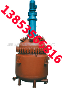 山東龍興搪瓷反應釜專業製造 質量保證 設計美觀 服務到位工廠,批發,進口,代購