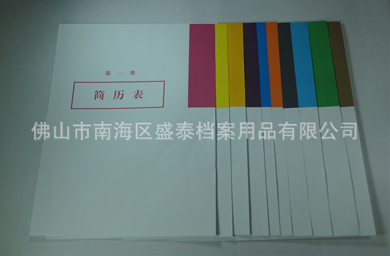 盛泰 新款乾部人事省標十大類 100克雙膠紙國表十大類工廠,批發,進口,代購