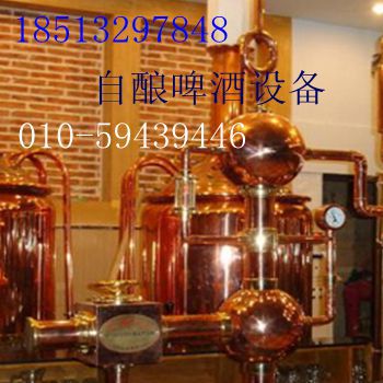 陜西啤酒設備工廠,批發,進口,代購