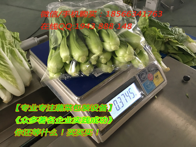 蔬菜枕式包裝機 蔬菜橫式包裝機 氣調蔬菜包裝機 農場專用工廠,批發,進口,代購