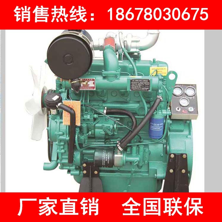 濰坊濰柴R4105ZD柴油發動機 廠傢直銷工廠,批發,進口,代購