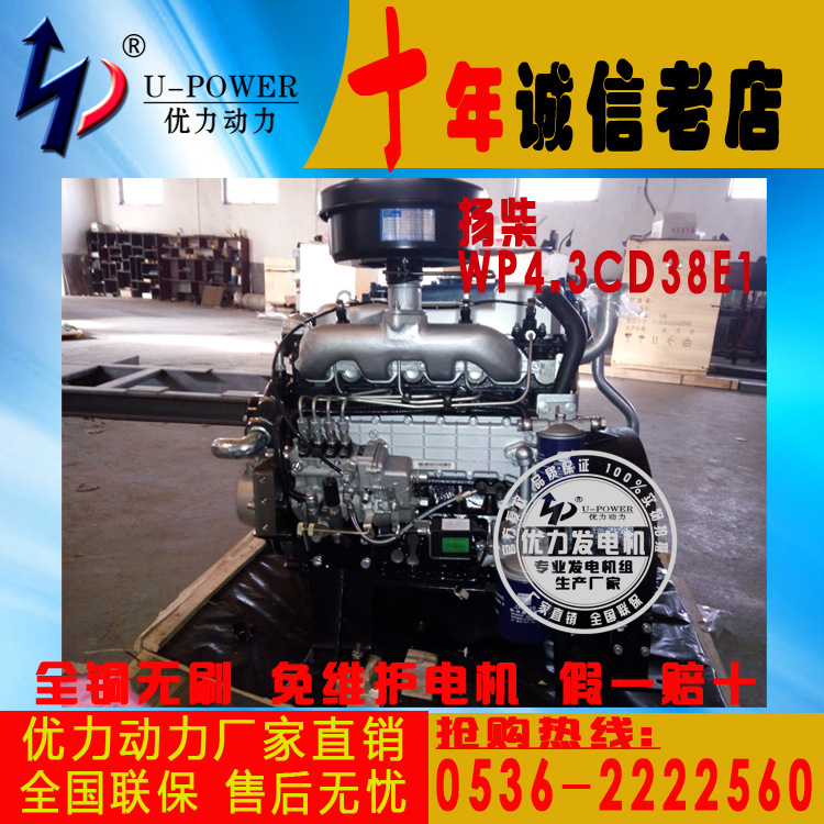 廠傢直銷 揚柴WP4.3CD38E1 38KW/1500轉 柴油機（陸/船）優力動力工廠,批發,進口,代購