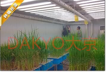 DAKYO大京種植行業專用加濕增濕設備批發・進口・工廠・代買・代購