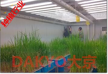 種植行業 大棚專用保鮮增濕機 DAKYO大京批發・進口・工廠・代買・代購