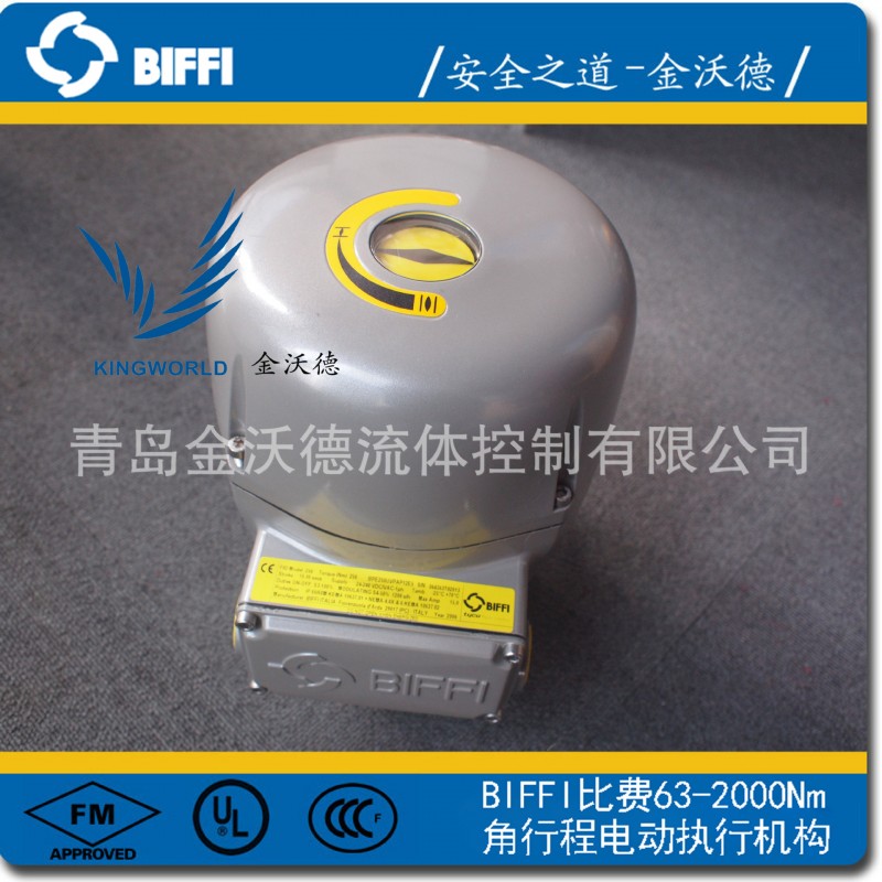 BIFFI比費 F02 63-2000Nm 角行程電動執行機構 電動執行器 進口工廠,批發,進口,代購