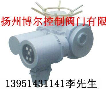 DZW45-24-100-WK，DZW60-24-100-WK，電動裝置電動執行機構執行器工廠,批發,進口,代購