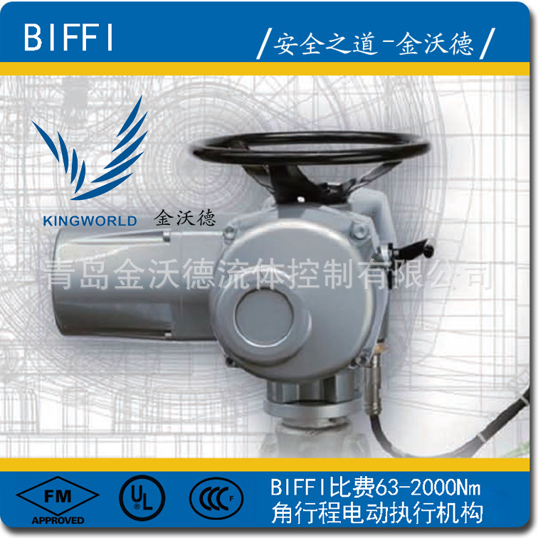 泰科-比費TYCO-BIFFI  F02 ICON2000 電動執行機構 63-2000Nm工廠,批發,進口,代購