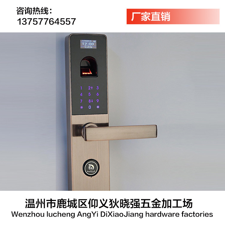 廠傢直銷 指紋鎖智能鎖電子密碼門鎖傢用防盜門進戶門鎖定製工廠,批發,進口,代購