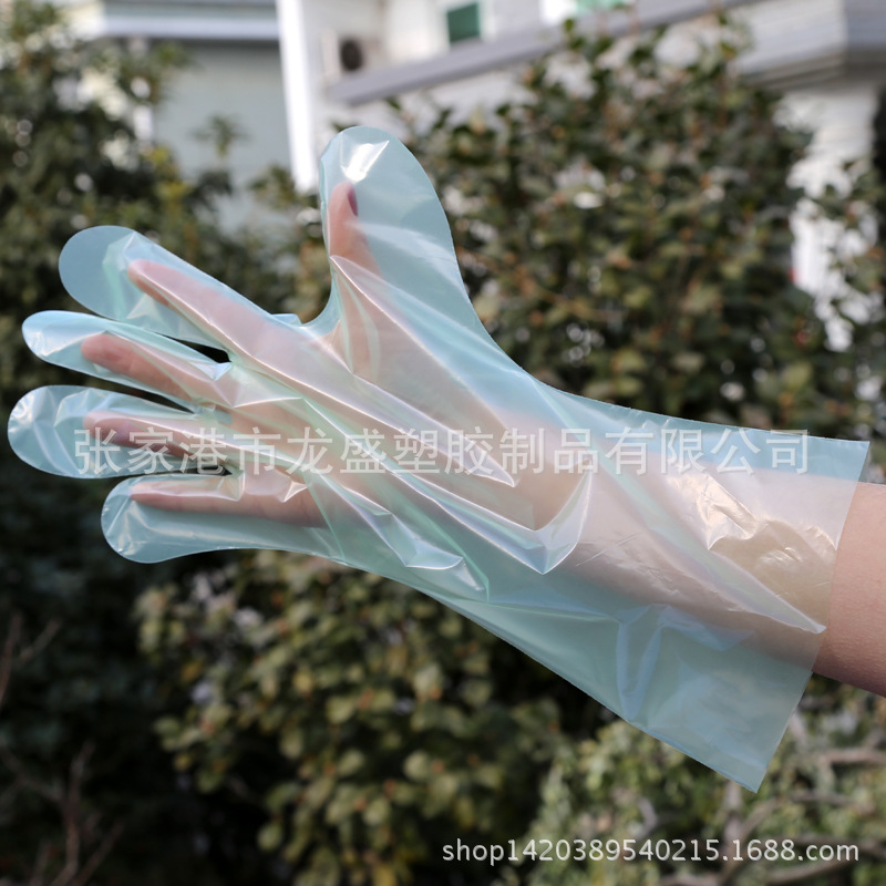 醫用必備一次性pe手套 綠色塑料透明手套 防酸堿手套 超低價供應批發・進口・工廠・代買・代購