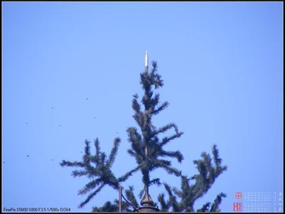 仿真植物松樹避雷針（塔）工廠,批發,進口,代購