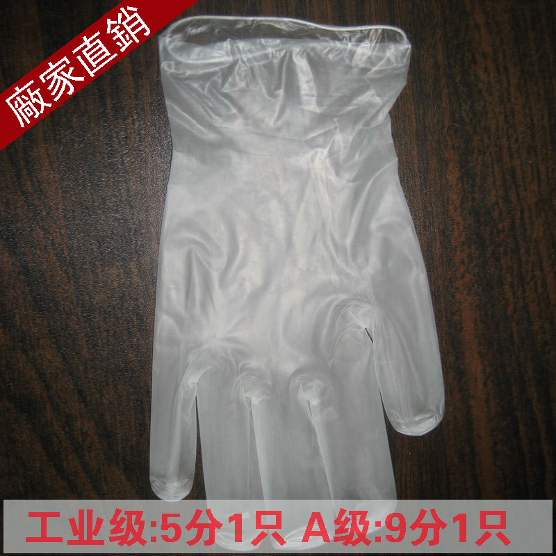 一次性食品PVC手套熟食加工牙科乙烯基 vinyl gloves【生產廠傢】工廠,批發,進口,代購