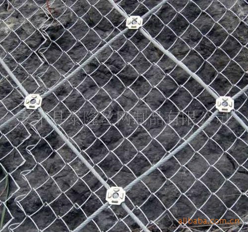泰隆批發優質邊坡防護網 主動環形網柔性防護網  鋼絲繩網工廠,批發,進口,代購