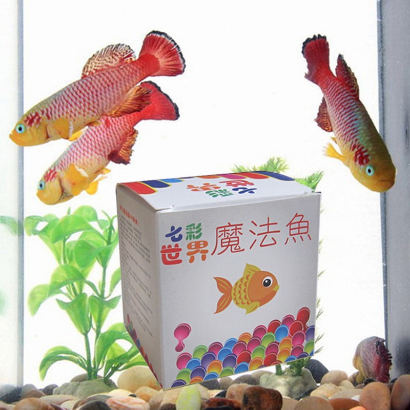 魔法魚，魔法魚套裝批發，愛情魚，熱帶魚，太空魚魚卵，廠傢直銷批發・進口・工廠・代買・代購