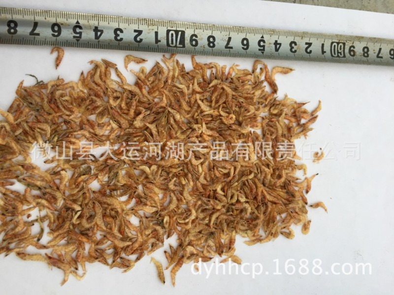 供應小米蝦飼料1-2cm 金魚專用小米蝦新產品  可來電咨詢工廠,批發,進口,代購