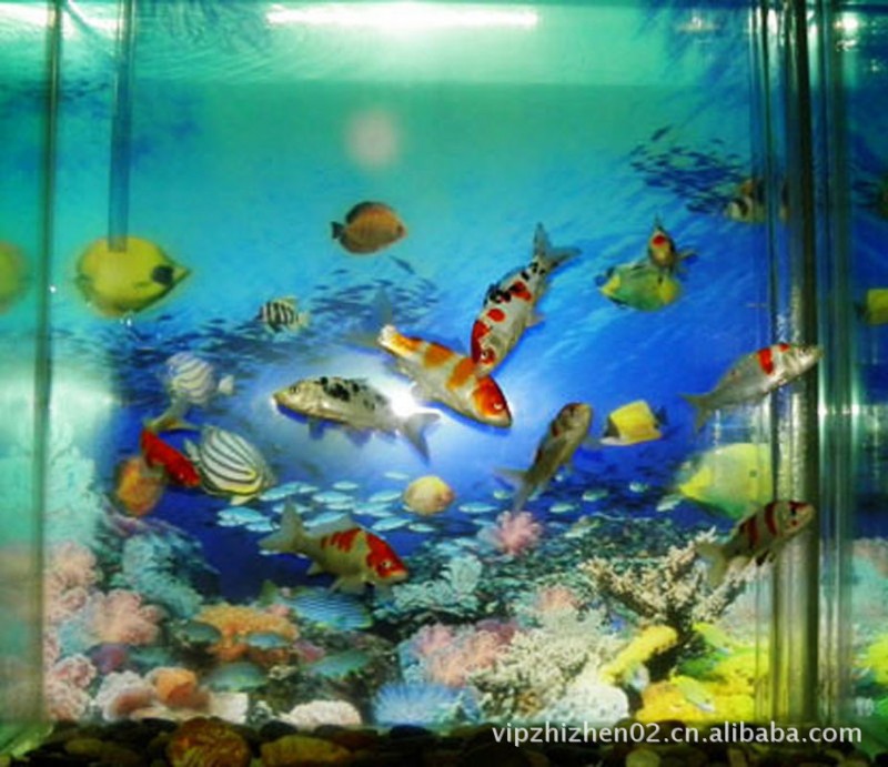 廠傢定製3D立體創意魚缸背景 三維立體水族背景海洋世界工廠,批發,進口,代購