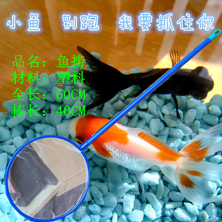 魚撈 魚撈網 兒童戲水撈金魚撈小魚小工具工廠,批發,進口,代購