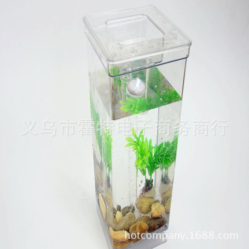 廠傢直銷 高品質 自動換水 魚缸 My Fun Fish tank工廠,批發,進口,代購