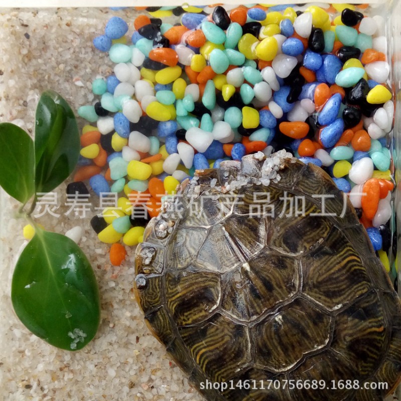 廠傢直銷水族裝飾 魚缸觀賞用五彩石 彩色小石子 水草砂批發・進口・工廠・代買・代購