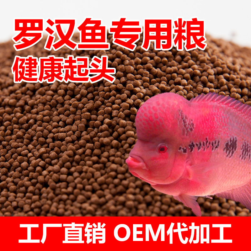 批發 羅漢魚飼料起頭增色壽星頭攻頭專用 觀賞魚飼料20kg工廠,批發,進口,代購