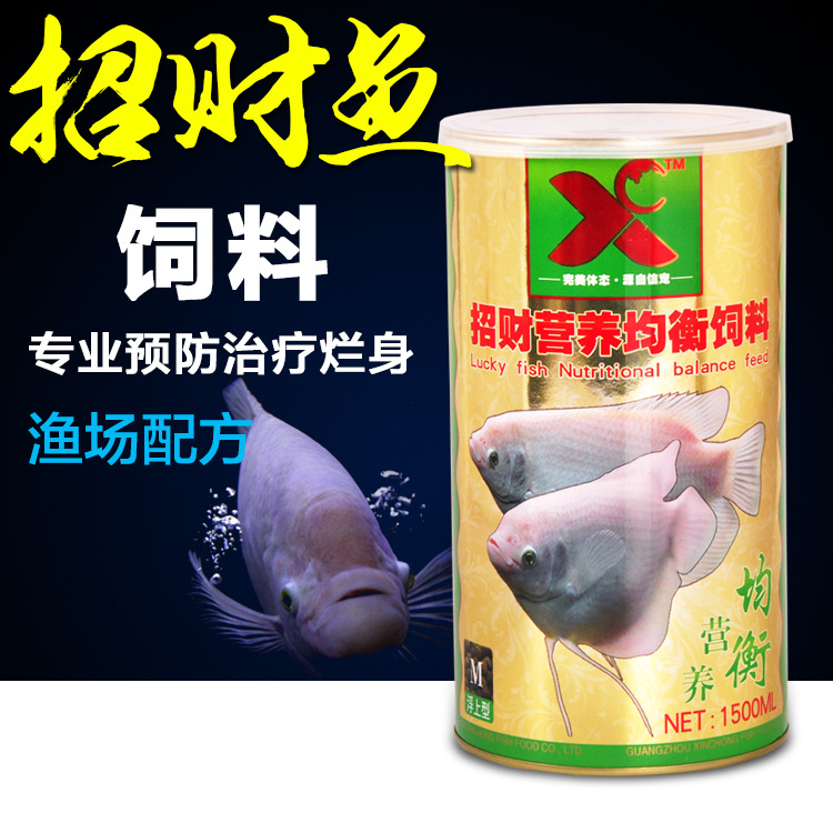 招財魚飼料招財魚糧專治金招財爛身飼料招財專用魚食戰船魚食工廠,批發,進口,代購