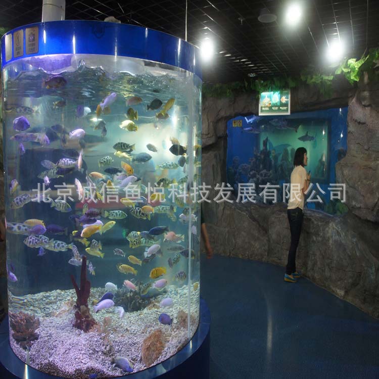 大型亞克力水族箱  生態亞克力魚缸，水族館工程  設計美觀批發・進口・工廠・代買・代購