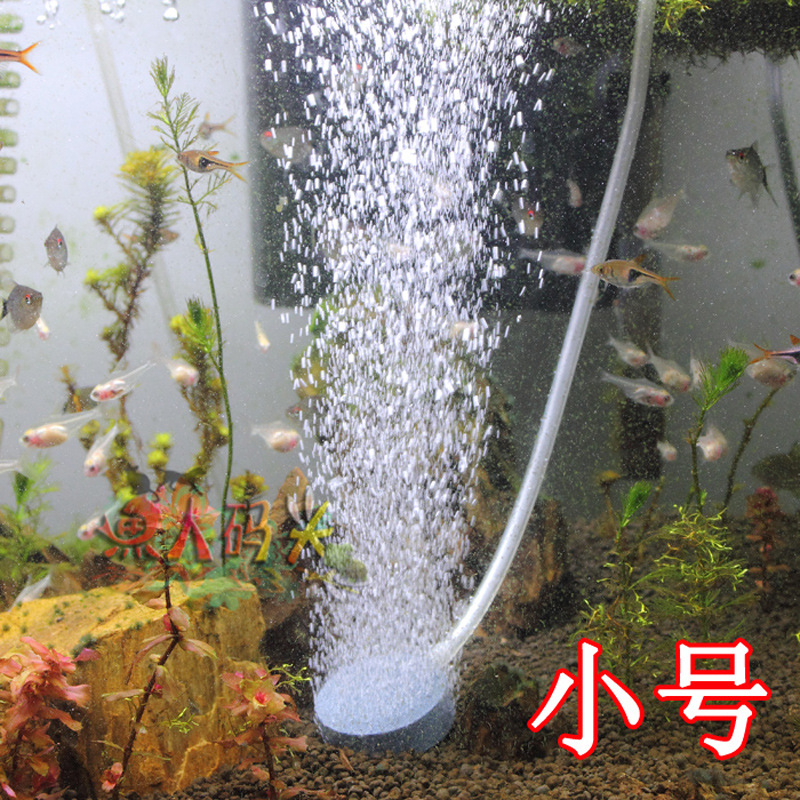 特價 氧氣泵用高溫燒結氣餅氣盤 魚缸 增氧泵 氣泡石 小號 4厘米工廠,批發,進口,代購