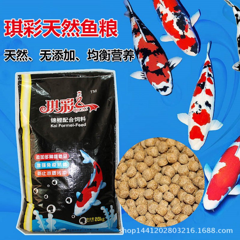 琪彩牌 錦鯉飼料 金魚飼料 錦鯉魚飼料 魚食 魚糧5#7mm大粒  20kg工廠,批發,進口,代購