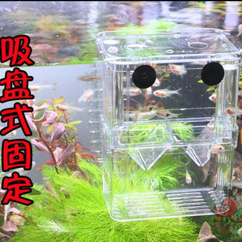 孵化盒雙層自浮式孵化器 幼魚繁殖亞克力隔離盒鬥魚盒多規格批發・進口・工廠・代買・代購