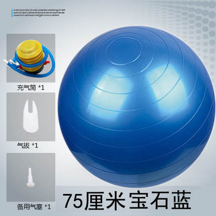 瑜伽球 55CM 65CM 75CM體操健身 加厚耐壓防爆 廠傢直銷一件代發工廠,批發,進口,代購