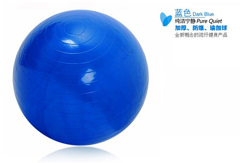 正品 2016新款 85cm 防爆瑜伽健身平衡球批發・進口・工廠・代買・代購