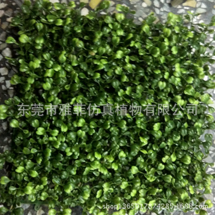 批發供應仿真草坪 塑料材質尤加利草 酒店裝飾植物墻底 優質草塊批發・進口・工廠・代買・代購