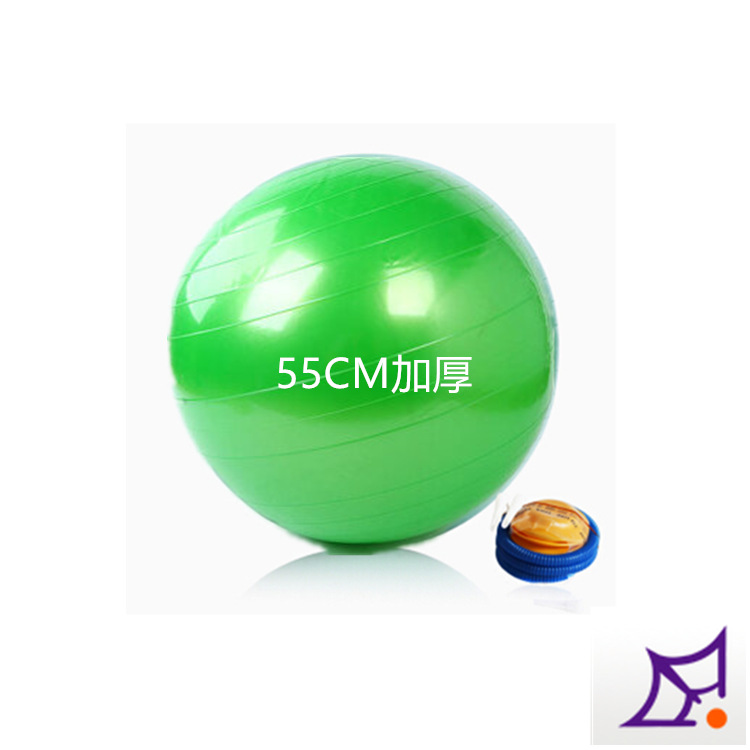 廠傢直銷健身瑜伽球 私人專用健身球 加厚更安全 55CM 750g工廠,批發,進口,代購