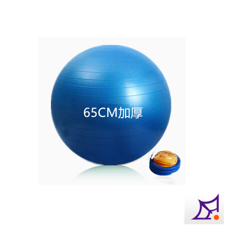 廠傢直銷健身瑜伽球 私人專用健身球 加厚更安全 65CM 850g工廠,批發,進口,代購