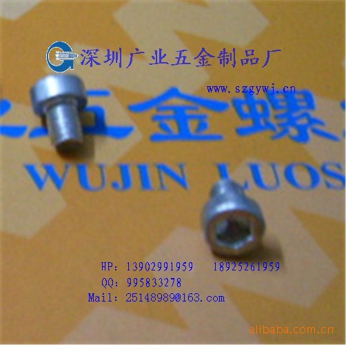 6061優質鋁螺釘(圖)、小鋁螺絲批發・進口・工廠・代買・代購