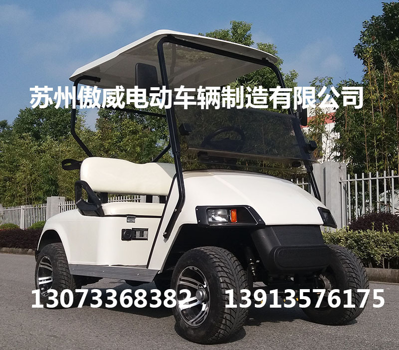 電動高爾夫球車 高爾夫球車 2座 AW2024K工廠,批發,進口,代購