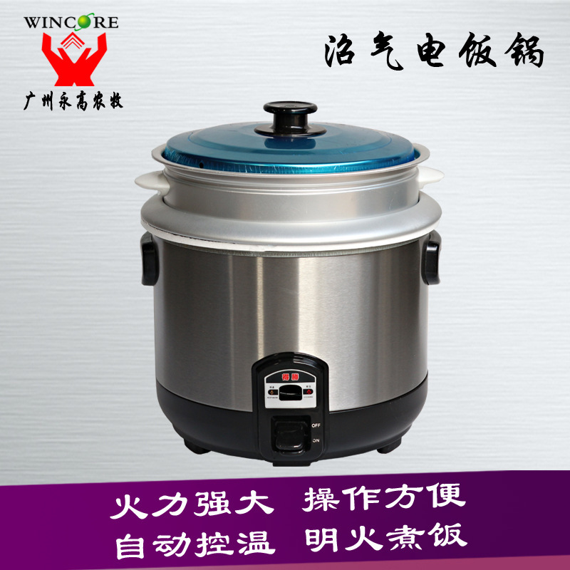 沼氣電飯煲 節能自動控溫 3L-3.5L煮飯電熱煲 傢庭廚房專用工廠,批發,進口,代購