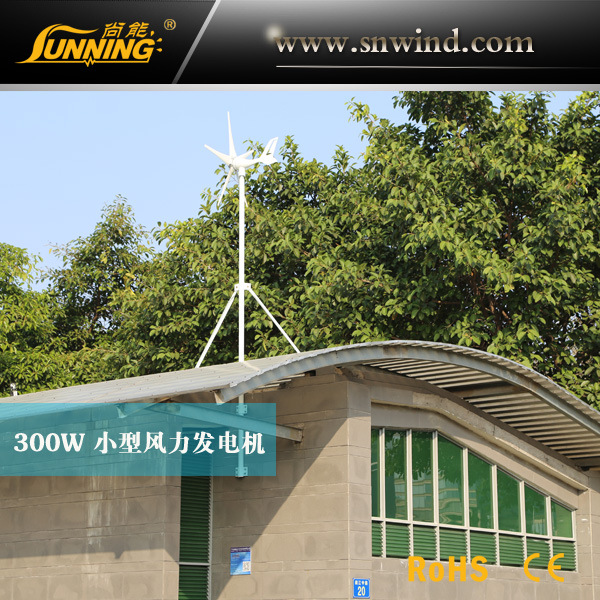 風光互補控製系統專用稀土永磁小型風力發電機300W_太陽能發電工廠,批發,進口,代購