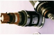 格輝陽廠傢直銷變頻電纜  變頻器專用電纜  ZR－BPYJVP工廠,批發,進口,代購